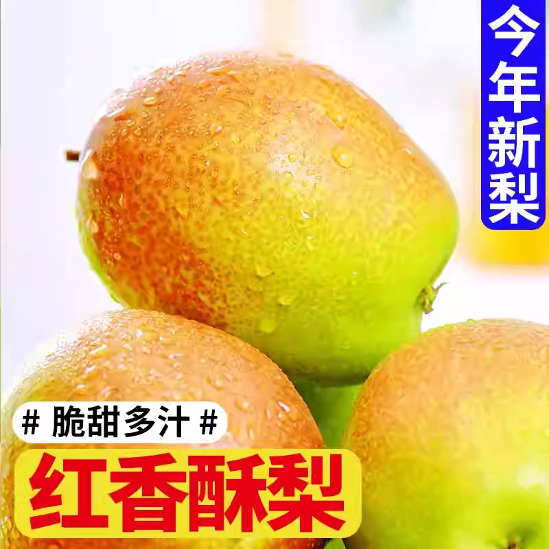 正宗山西红香酥梨当季现摘薄皮脆甜多汁新鲜水果整箱9斤香梨包邮2