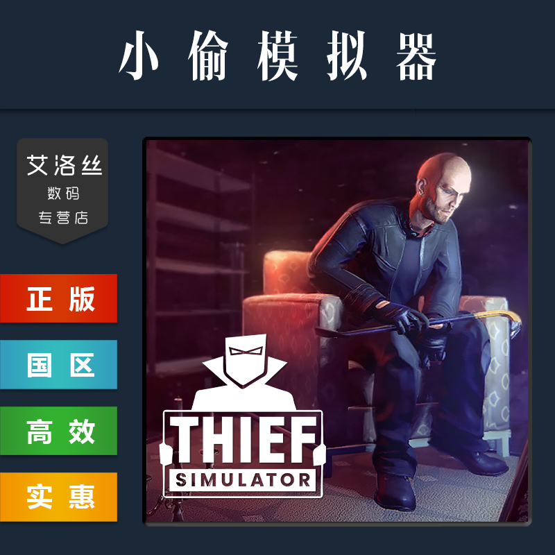 Steam平台中文正版游戏小偷模拟器 Thief Simulator全DLC豪宅窃贼模拟器盗贼模拟器1 PC国区礼物-图3