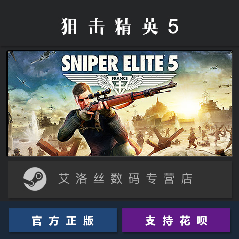 PC中文正版 steam平台国区游戏狙击精英5 Sniper Elite 5豪华版季票 2-图0