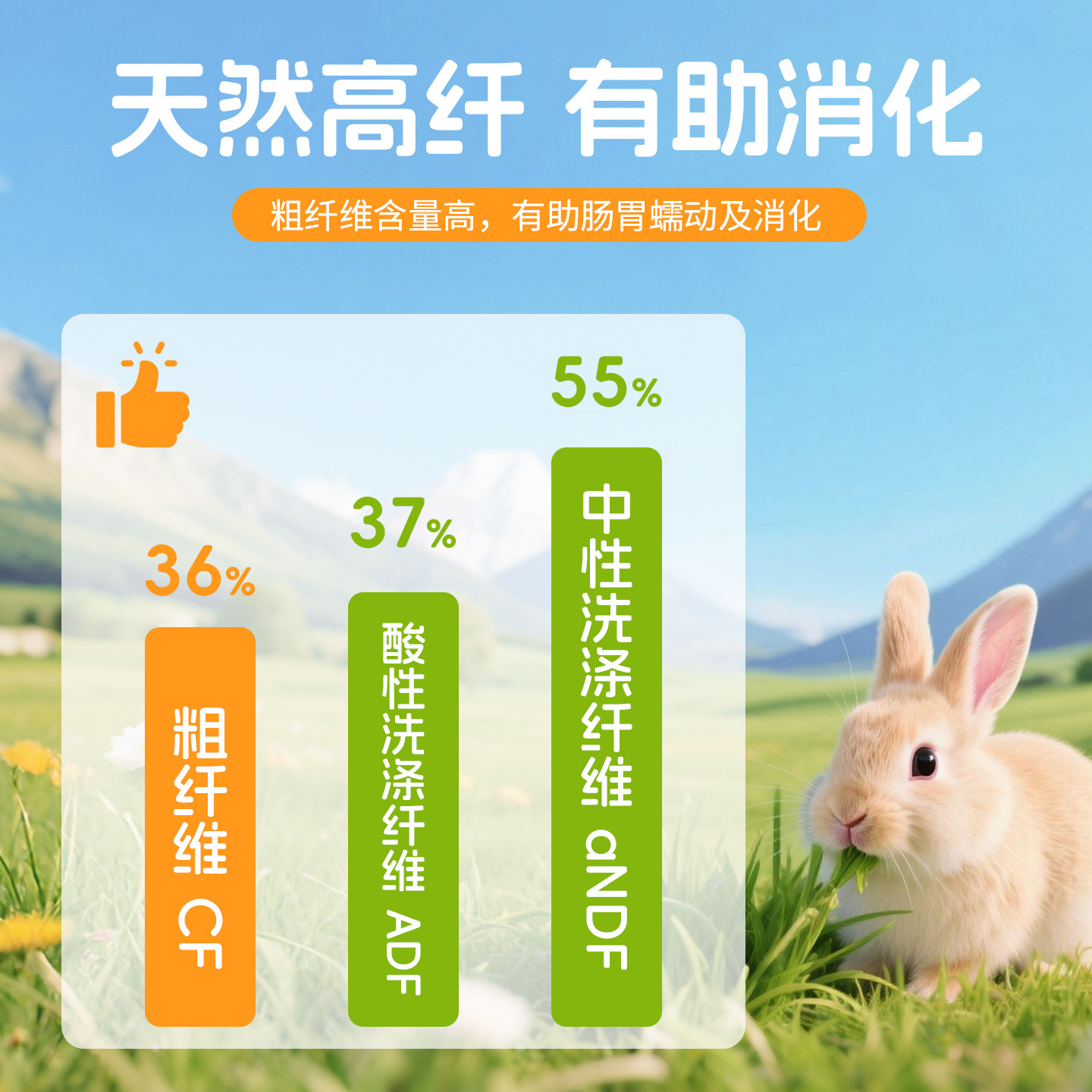 25年特优级美提美国wr提摩西草兔草荷兰猪龙猫干草磨牙提摩西草,淘宝优惠券,粉丝福利购,淘宝优惠卷