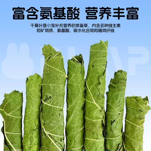 赫尔达桑叶卷烘干天然牧草兔子干草龙猫荷兰猪零食高蛋白桑叶零食 - 图0