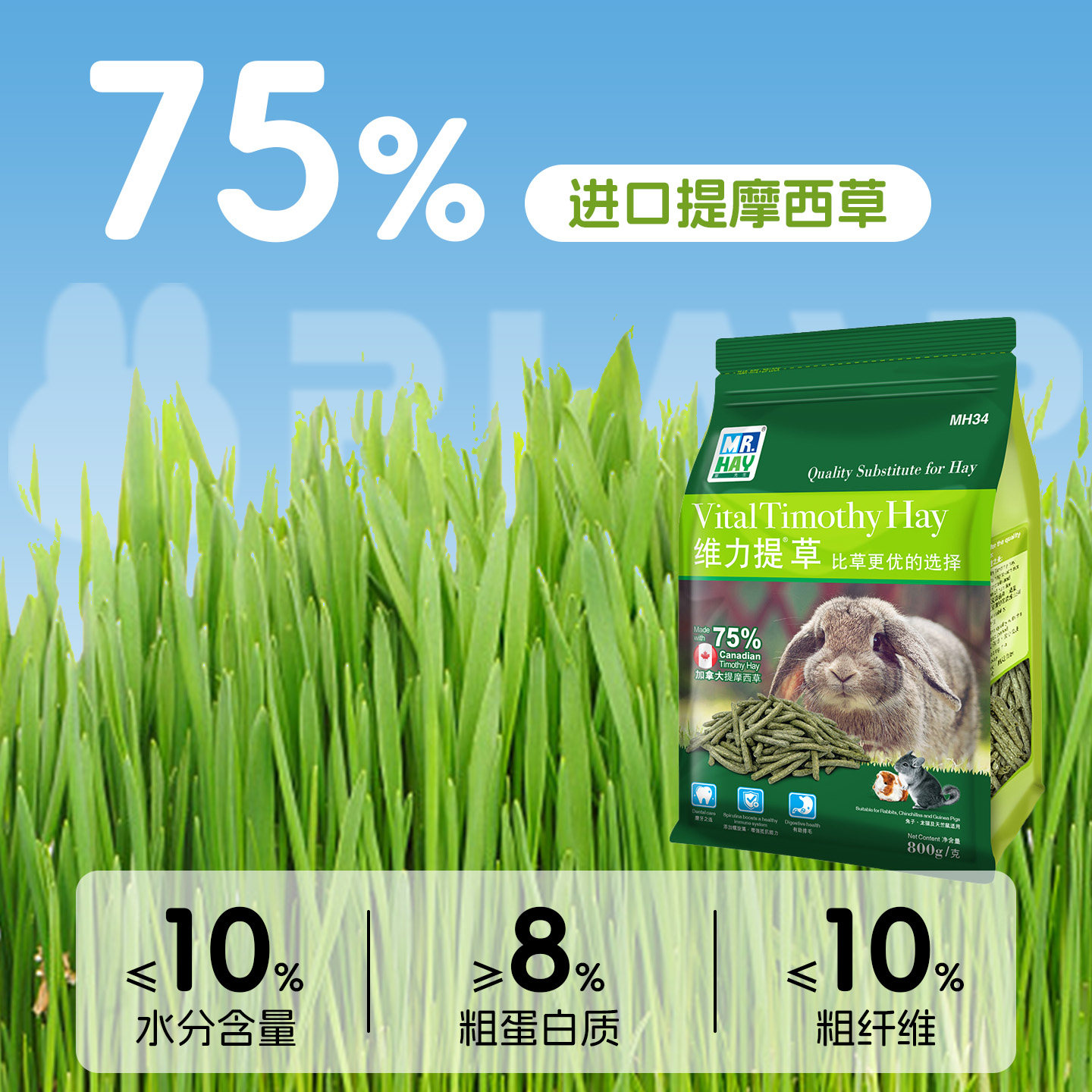 MR.HAY草先生活力提摩西草兔子龙猫豚鼠提草牧草草条替代干草包邮,淘宝优惠券,粉丝福利购,淘宝优惠卷