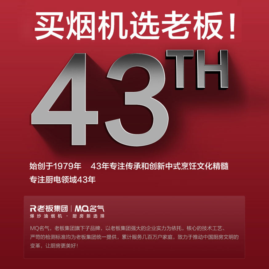  名气金野油烟机