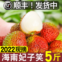 Spot 2022 Fresh Hainan courtesone smiles lychee 5 catties Old Tree Three pregnant women Fruit When season the whole box March Red