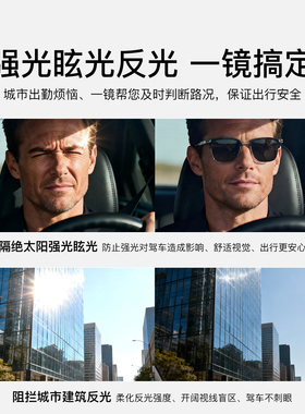 偏光防强光近视墨镜可配蔡司镜片