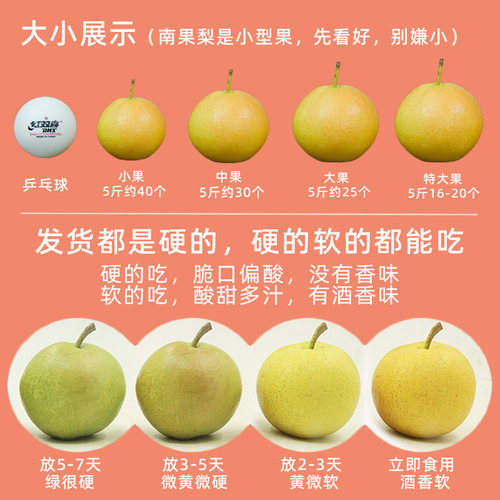 鞍山南果梨5斤顺丰包邮东北海城南国梨子特产酒香梨新鲜冻梨水果 - 图1