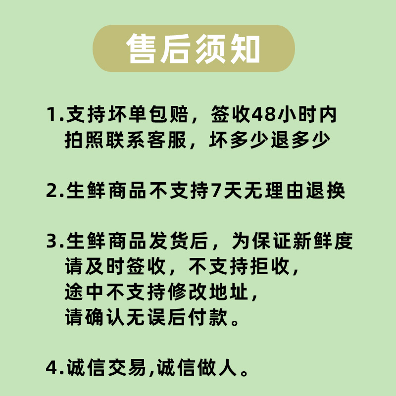 东北小国光苹果5斤装包邮辽宁特产新鲜水果非烟台小红富士-图1