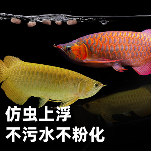 老渔匠金银红龙鱼饲料招财观赏鱼增发色专用鱼粮大小上浮颗粒鱼食 - 图3