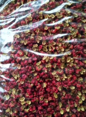 武都大红袍红花椒颗粒调料卤料甘肃陇南特产包邮500g特级农户直销