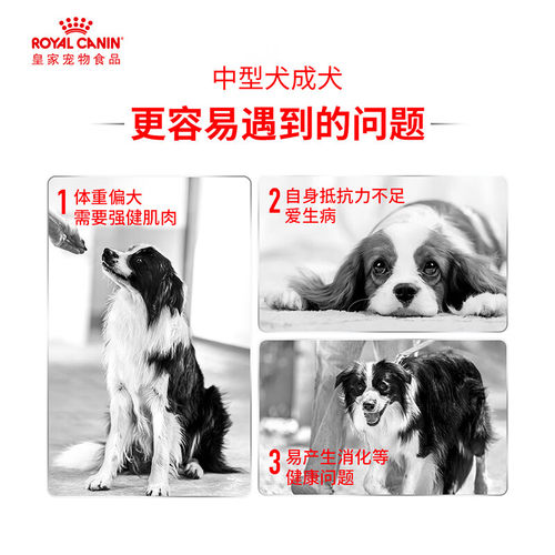 皇家狗粮中型犬成犬粮4kg*4包15KG+1KG萨摩耶德牧松狮边境M25通用 - 图1