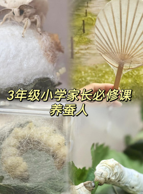 清让其他特色工艺品蚕丝扇骨架