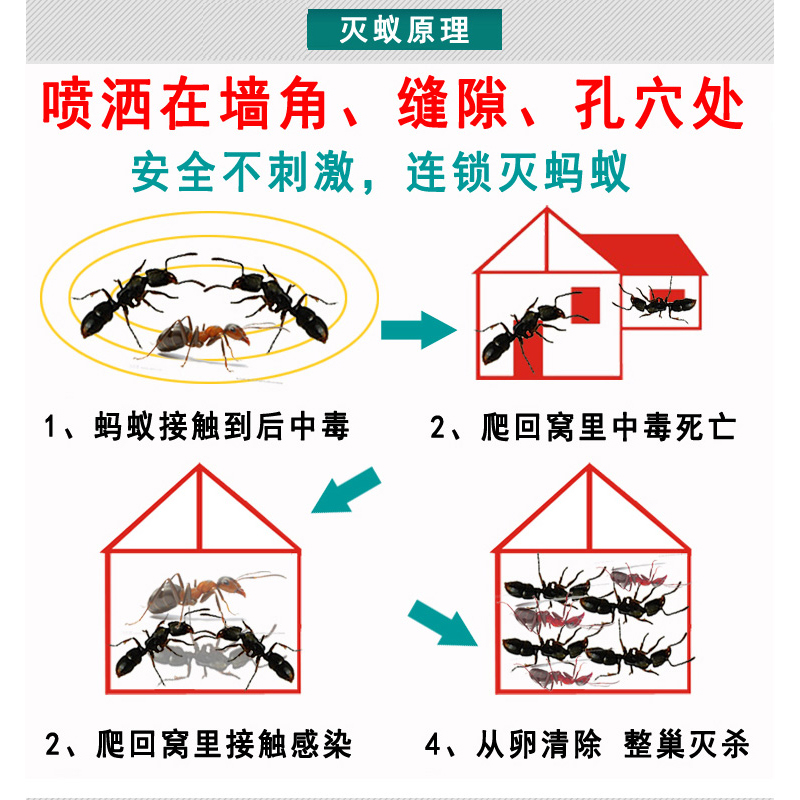 杀蚂蚁药家用全窝端室内厨房菜地驱防蚂蚁克星黑红黄白蚂蚁一窝端 - 图2