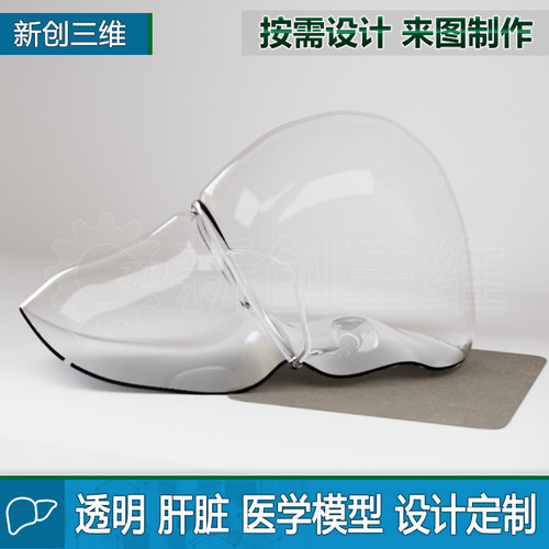 肝脏3D打印医疗透明医学教学教具大脑脑部肺部胃部心脏肾脏定制 - 图3