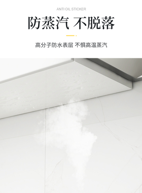 索乐特吊柜柜门不留胶保护膜加厚