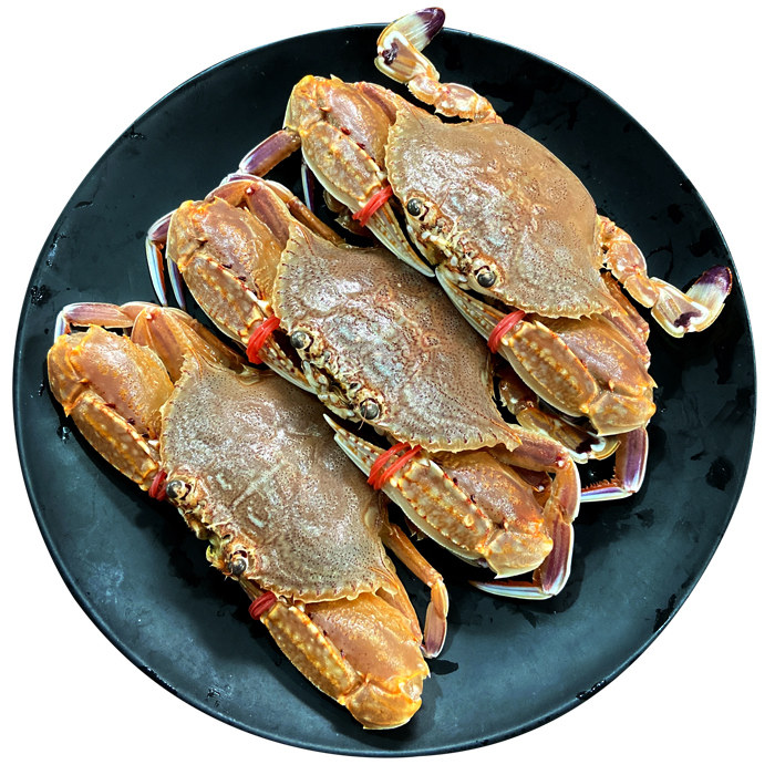 扁蟹冷冻海蟹海捕螃蟹潮汕海鲜水产红螃蟹大蟹非小青蟹肉蟹梭子蟹,淘宝优惠券,粉丝福利购,淘宝优惠卷