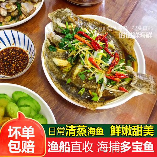 多宝鱼鲜活海鲜水产新鲜石斑鱼比目鱼花岗鱼海鱼每条450-550g - 图2