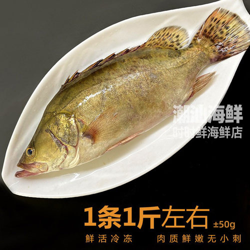 桂花鱼鲜活冷冻潮汕海鲜水产花鱼花鲫鱼清蒸海鱼新鲜桂鱼淡水鳜鱼 - 图1