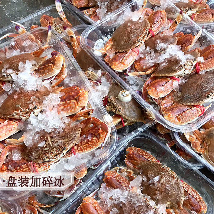 扁蟹冷冻海蟹海捕螃蟹潮汕海鲜水产红螃蟹大蟹非小青蟹肉蟹梭子蟹,淘宝优惠券,粉丝福利购,淘宝优惠卷