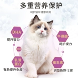 McFudi Pet Store Повторный посетите посещение более десяти лет старого магазина McFudi Pet Синьцзян БЕСПЛАТНА