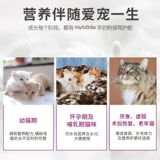 McFudi Pet Store Повторный посетите посещение более десяти лет старого магазина McFudi Pet Синьцзян БЕСПЛАТНА