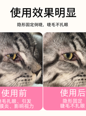 倒睫毛矫正贴猫咪防眼睑内翻流眼泪红肿结膜宠物上下睫毛矫正神器