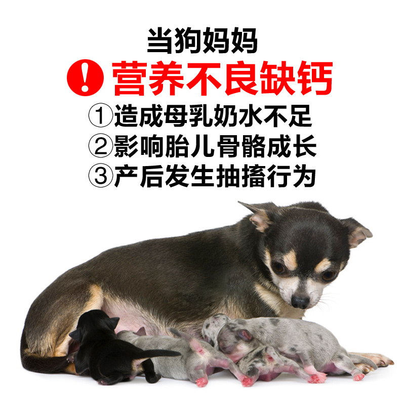 狗妈妈产后狗粮孕狗哺乳期母犬怀孕狗专用月子餐母狗催下奶营养品-图2