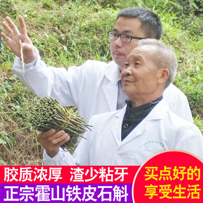 新鲜铁皮石斛野生种源正宗霍山250g 郑意滋补养生石斛/枫斗