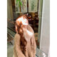 Lazy Didi Warm Brown Soft Mist Full Fox Belly Fur Scarf Fur Collar Versatile Lace-Up Warm Custom-Dye Coat Scarf