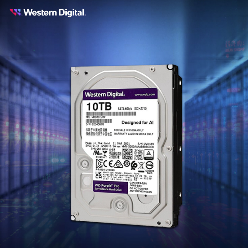 WD/西部数据 WD101EJRP 紫盘 PRO 10TB SATA6Gb/s256M 监控硬盘 - 图2