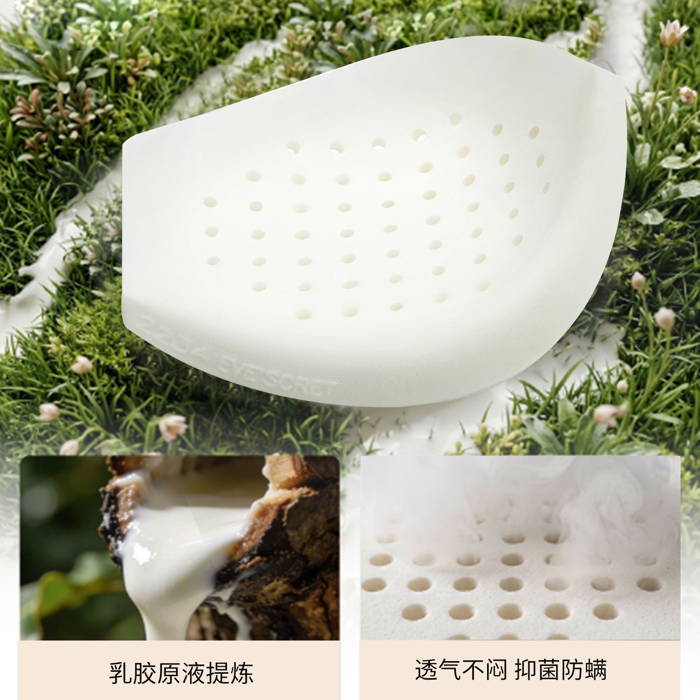夏娃秘语蕾丝性感内衣女秋季