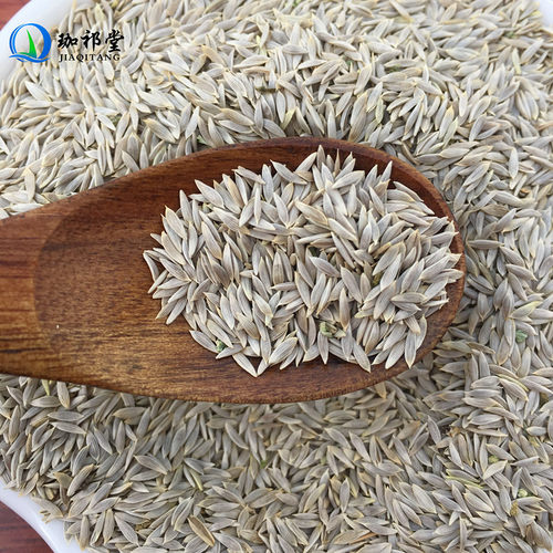 生菜籽中药材新货生菜子白巨胜子干货白巨胜籽白苣胜莴苣子可打粉 - 图0