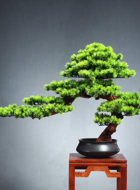 新中式仿真绿植迎客松盆景玄关客厅茶室禅意室内松树造景家居摆件