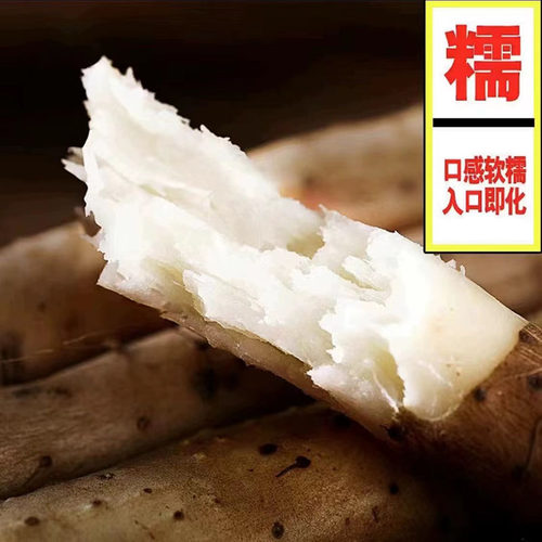 正宗河南焦作温县垆土铁棍铁杆淮山怀山药新鲜5斤特产整箱准铁杆 - 图2
