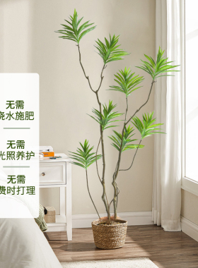 满庭芳仿真绿植环保材质无异味