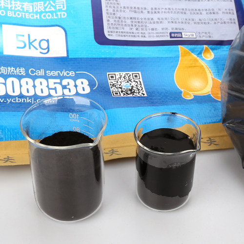 渔大夫黑宝 腐植酸钠 肥水膏培藻杀青苔调水净水解毒水产养殖专用 - 图1