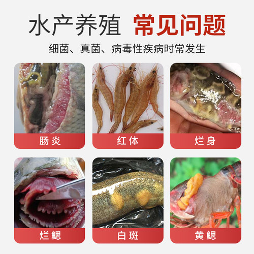 聚维酮碘水产专用复合碘消毒液鱼缸乌龟养殖鱼虾蟹贝蛙鳝塘杀菌剂 - 图2