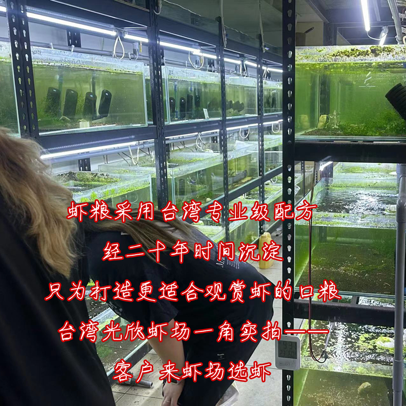 观赏虾粮虾饲料琉璃水晶黑壳高钙粮高蛋白鳌虾增艳下沉底虾食包邮 - 图1