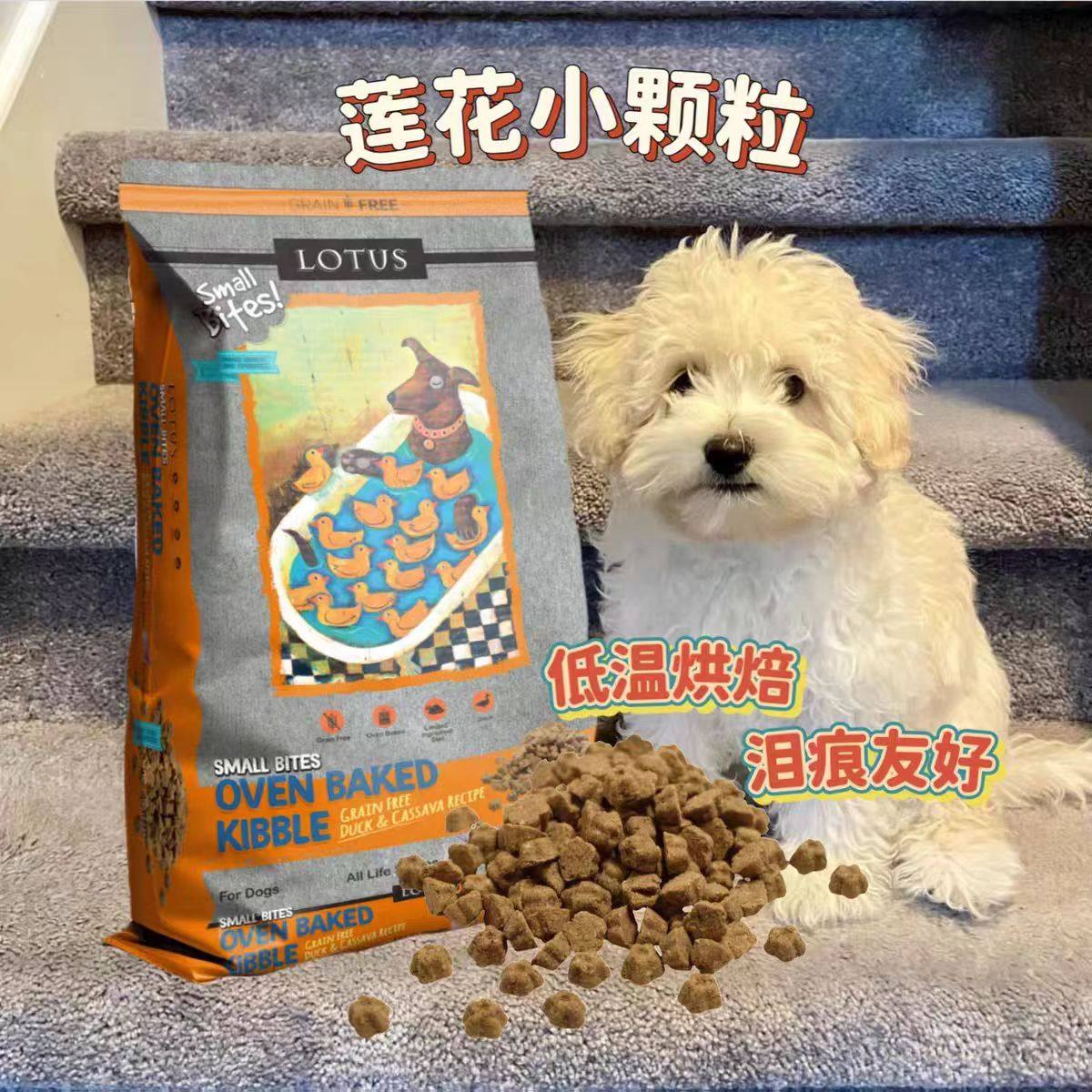 好包正品莲花鸭肉甜薯4磅无谷低温烘焙降火去泪痕高蛋白小型犬粮,淘宝优惠券,粉丝福利购,淘宝优惠卷