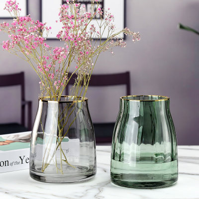 鲜花玻璃花瓶北欧现代金边透明水养插花宽口矮胖大口创意简约摆件 虎窝淘
