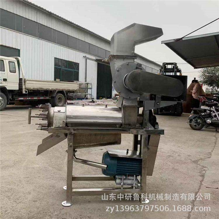 生姜芹菜商用螺旋榨汁机 葡萄沙棘挤汁机 多功能大型蔬菜药材压榨,淘宝优惠券,粉丝福利购,淘宝优惠卷