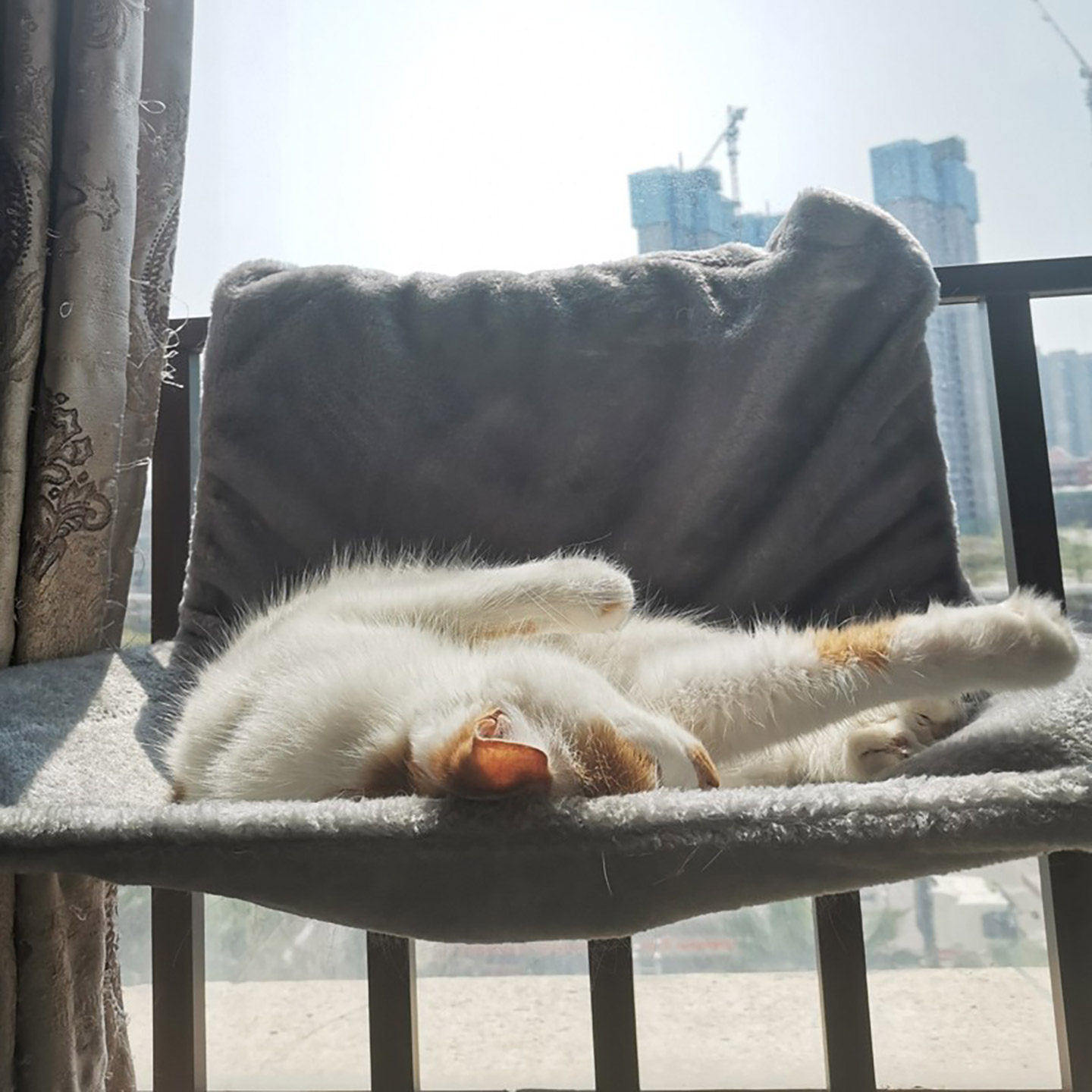 猫咪吊床吊篮猫笼挂钩挂窝挂式阳台悬挂式窗台晒太阳笼子小猫秋千,淘宝优惠券,粉丝福利购,淘宝优惠卷