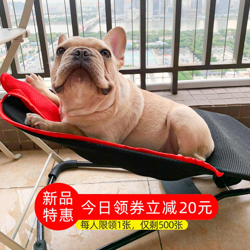 狗狗椅子 新人首單立減十元 21年8月 淘寶海外