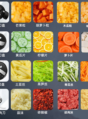 多功能切菜机小型商用110V美规电动切菜机切丁机Vegetable cutter