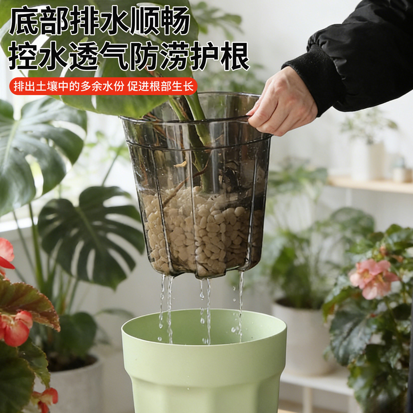 花盆塑料蝴蝶兰套盆大号兰花盆控根盆懒人自吸水盆轻奢高级感家用,淘宝优惠券,粉丝福利购,淘宝优惠卷