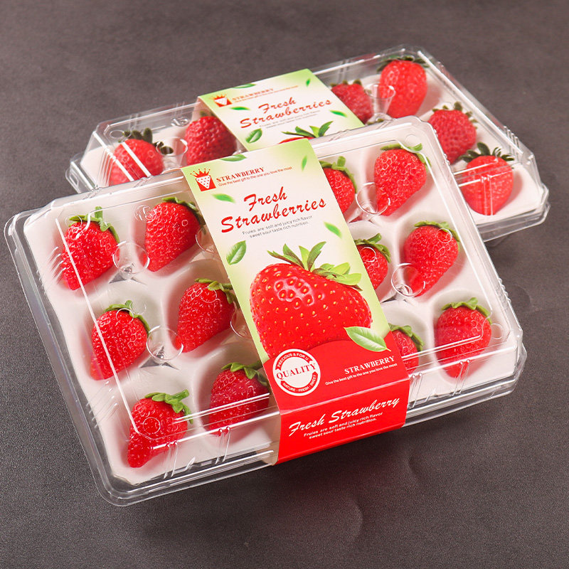 一次性精品草莓分格塑料包装盒高档带内托防震透明打包盒礼品盒,淘宝优惠券,粉丝福利购,淘宝优惠卷