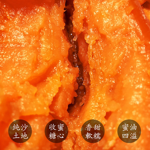 蜜薯糖心红薯烟薯25富硒农家沙地自种收糖超甜地瓜山东新鲜小山芋 - 图1