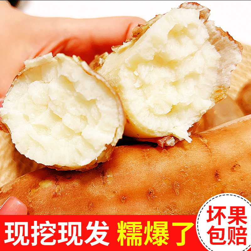 哈密冰糖薯山东沙地新鲜现挖白心糖心蜜薯红薯超甜番地瓜3斤山芋