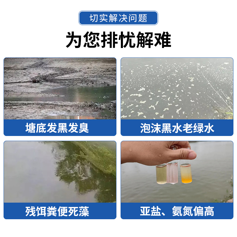 生物底改水产养殖改底王鱼虾蟹塘除黑臭降氨氮亚盐分解淤泥净水剂-图0