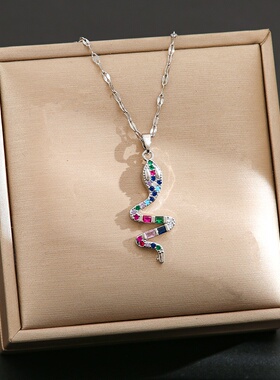 欧美跨境嘻哈钛钢项链女小众设计感锆石动物蛇形蛇元素吊坠饰品