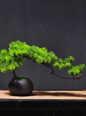 green plants Small Bonsai Ornament Office Desktop Table Pine